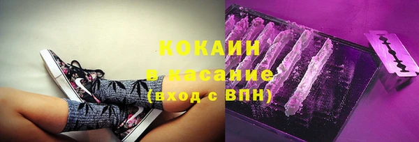 прущая мука Арсеньев