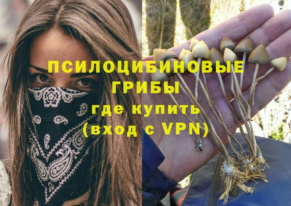 гашик Аркадак