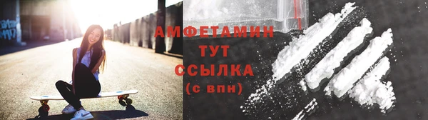 гашик Аркадак