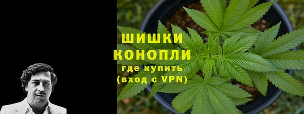 трава Армянск