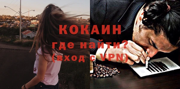 прущая мука Арсеньев