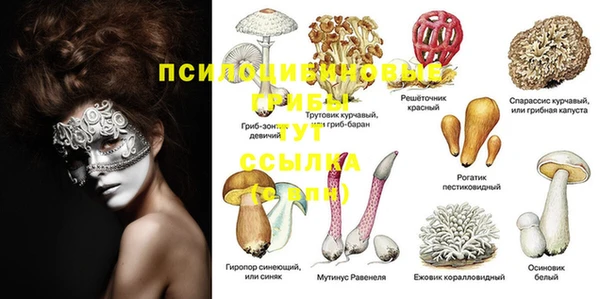 гашик Аркадак