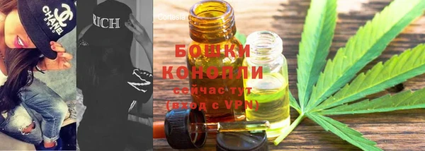 гашик Аркадак